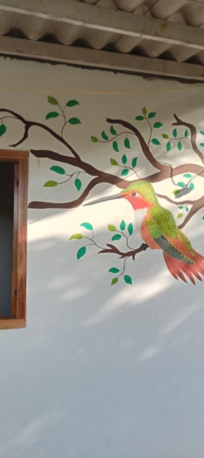 Sierra Kay Hostel Guachaca Værelse billede
